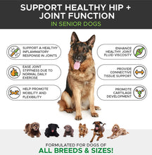 Load image into Gallery viewer, PetHonesty Senior Hemp Mobility - Hip &amp; Joint Supplement for Senior Dogs - with Hemp Oil &amp; Hemp Powder, Glucosamine, Collagen, MSM, Green Lipped Mussel, Improve Mobility, Reduces Discomfort (Chicken)